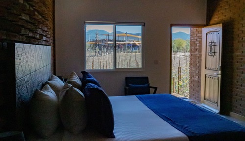 Habitación individual Deluxe, 1 cama de matrimonio grande, vistas al viñedo