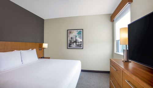 Suite, 1 cama de matrimonio grande con sofá cama