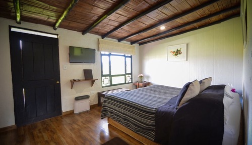 Habitación doble, 1 cama de matrimonio grande (Pesebrera)
