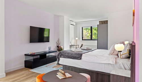 Habitación Deluxe con 1 cama doble o 2 individuales