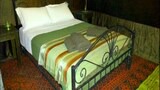Deluxe Tent, Private Bathroom (2 Pax)