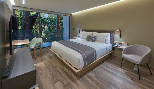 Habitación, 1 cama de matrimonio grande