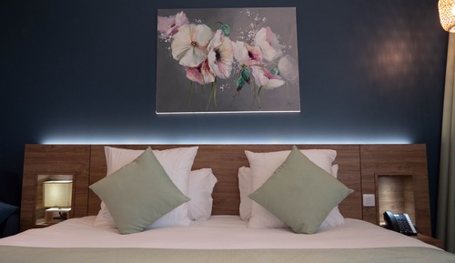 Habitación Deluxe con 1 cama doble o 2 individuales