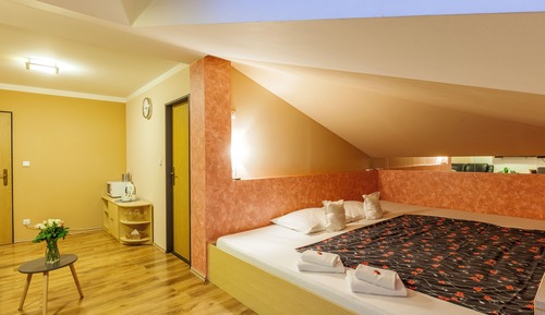 Habitación doble, 1 cama de matrimonio grande