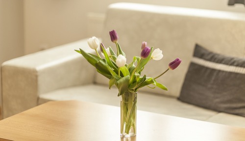 Apartamento, 2 habitaciones