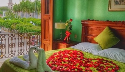Habitación individual panorámica