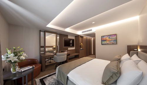 Habitación Deluxe doble