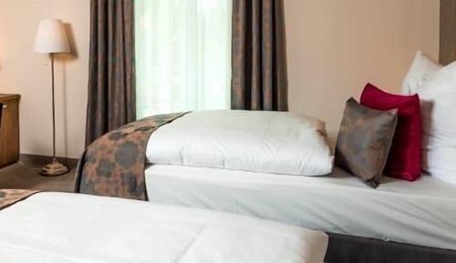 Habitación Deluxe con 1 cama doble o 2 individuales