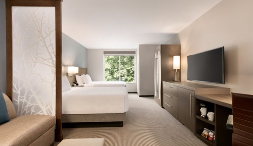 Room, Accessible, Bathtub (2 Queen Beds with Sofa bed)
