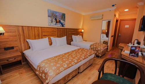 Habitación estándar con 2 camas individuales (Accessible)