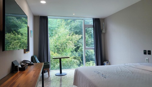Room (Deluxe Mountain View)