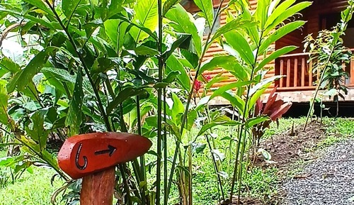 Cabaña Deluxe, varias camas, vistas al jardín