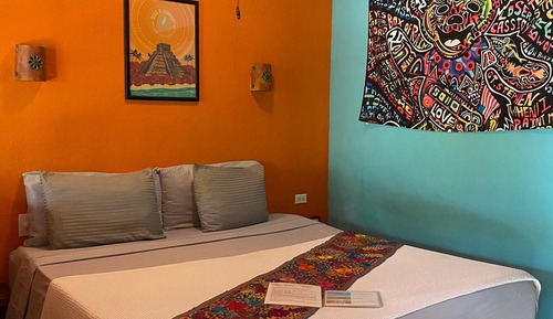 Habitación individual estándar