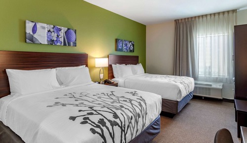 Suite, 2 camas de matrimonio, no fumadores (Efficiency)