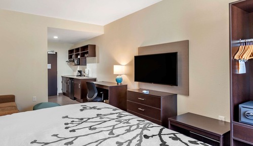 Suite, 1 cama de matrimonio grande con sofá cama, no fumadores (Efficiency)
