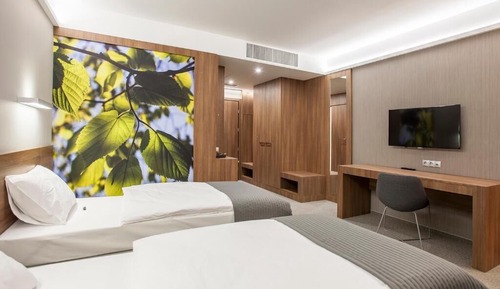 Habitación Deluxe con 1 cama doble o 2 individuales