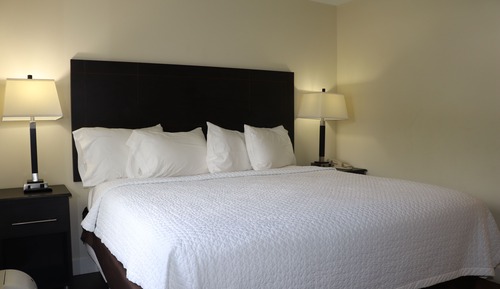 Suite estudio Deluxe
