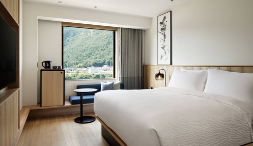 Habitación estándar, 1 cama de matrimonio grande, no fumadores