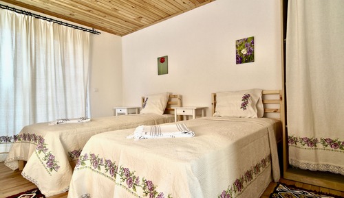 Habitación clásica con 2 camas individuales, vistas a la montaña