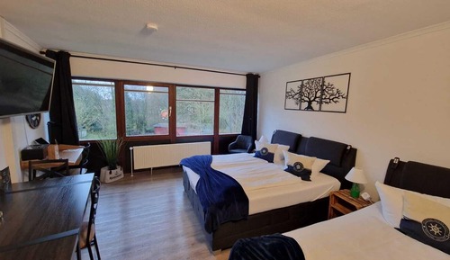 Habitación doble, vistas al jardín
