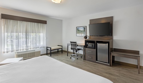 Habitación estándar, 1 cama de matrimonio grande, no fumadores, frigorífico y microondas