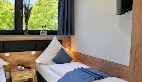 Habitación estándar con 2 camas individuales