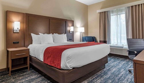 Habitación estándar, 1 cama de matrimonio grande, no fumadores