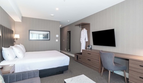 Habitación estándar, 1 cama de matrimonio grande con sofá cama (Euro Style Shower)