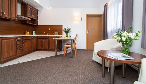 Apartamento clásico, 1 habitación, cocina básica