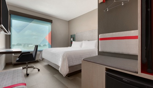 Habitación estándar, 1 cama de matrimonio grande, accesible en silla de ruedas (Roll in Shower)