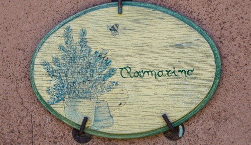 Apartamento Confort, 1 habitación (Rosmarino)
