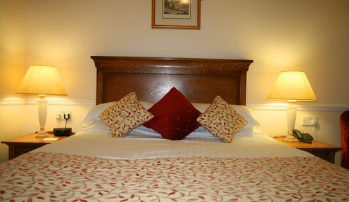 Habitación doble (1 King Bed)
