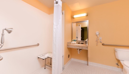 Habitación estándar, 1 cama de matrimonio grande, ducha adaptada (Communications)