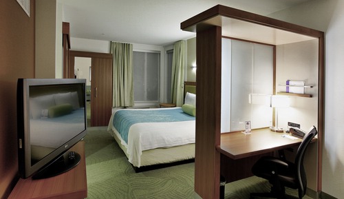 Suite, 1 cama de matrimonio grande con sofá cama