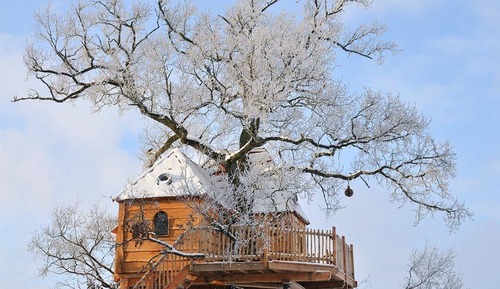 Casa panorámica en un árbol (Tree House)