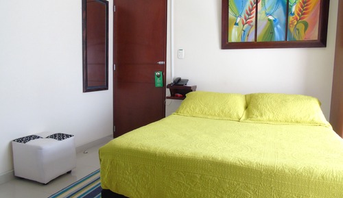 Habitación doble, 1 cama doble