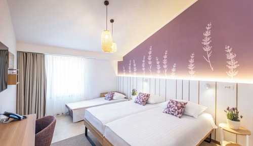 Double or twin with extra bed a balcony
