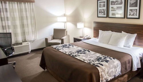 Habitación estándar, 1 cama de matrimonio grande, no fumadores