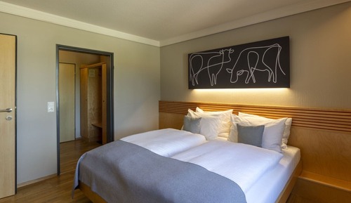 Habitación básica doble, 1 cama doble