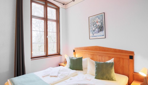 Habitación tradicional doble, 1 cama de matrimonio
