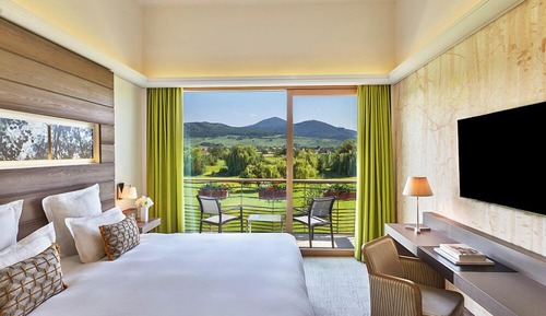 Habitación superior, vistas al viñedo