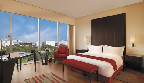 Habitación Deluxe, vistas al parque