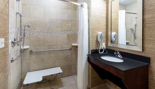 Habitación estándar, 1 cama de matrimonio grande, bañera accesible (Accessible Shower)