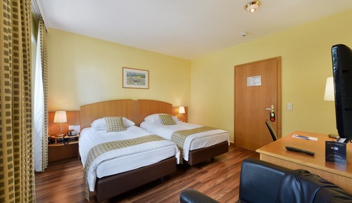Habitación estándar con 1 cama doble o 2 individuales