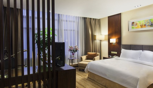 Habitación Premium, 1 cama de matrimonio grande, acceso al Business Lounge