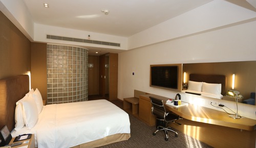 Habitación estándar, 1 cama de matrimonio (Smart Room)