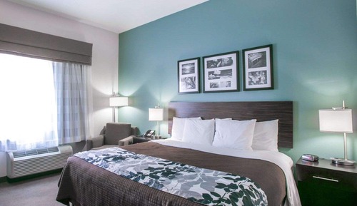 Habitación estándar, 1 cama de matrimonio grande, no fumadores