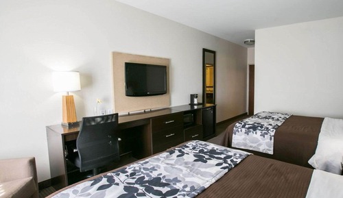 Habitación estándar, 2 camas de matrimonio