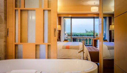 Habitación Business doble, vistas al jardín