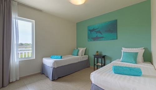 Suite (Dolphin)